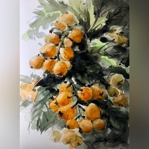 Watercolor rendition of Loquat tree in my backyard